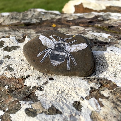 A small hand-painted stone with an image of a flying pollinator insect.